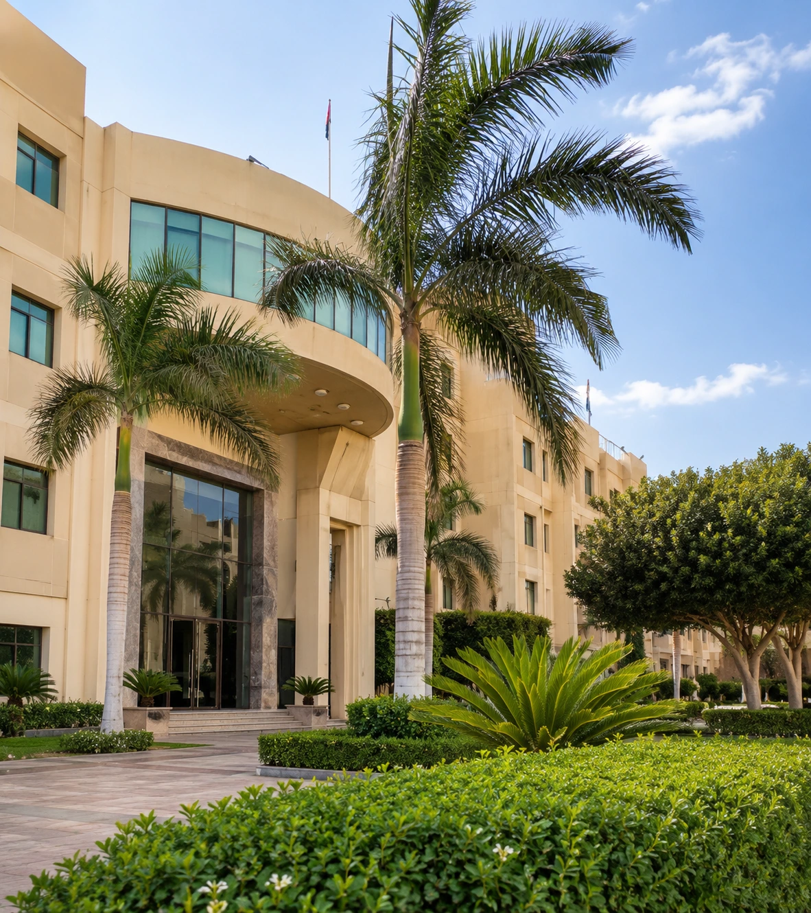 الجامعة الدولية العربية
